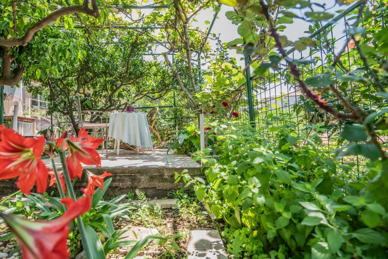 Amalia Apartamento Podgora